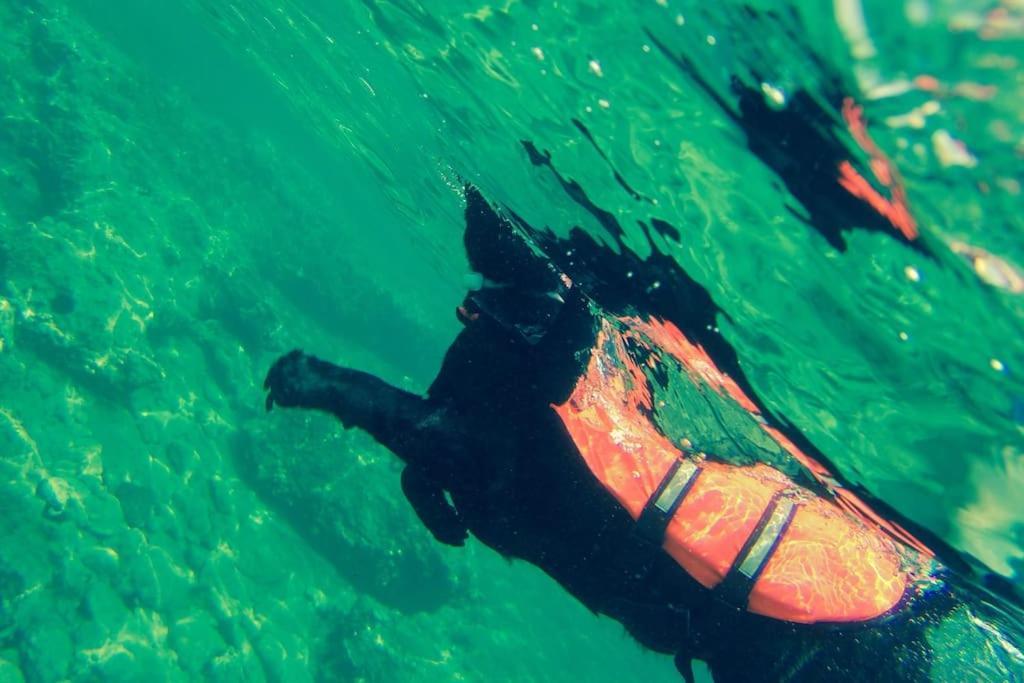 Villa Liana Sourpi エクステリア 写真