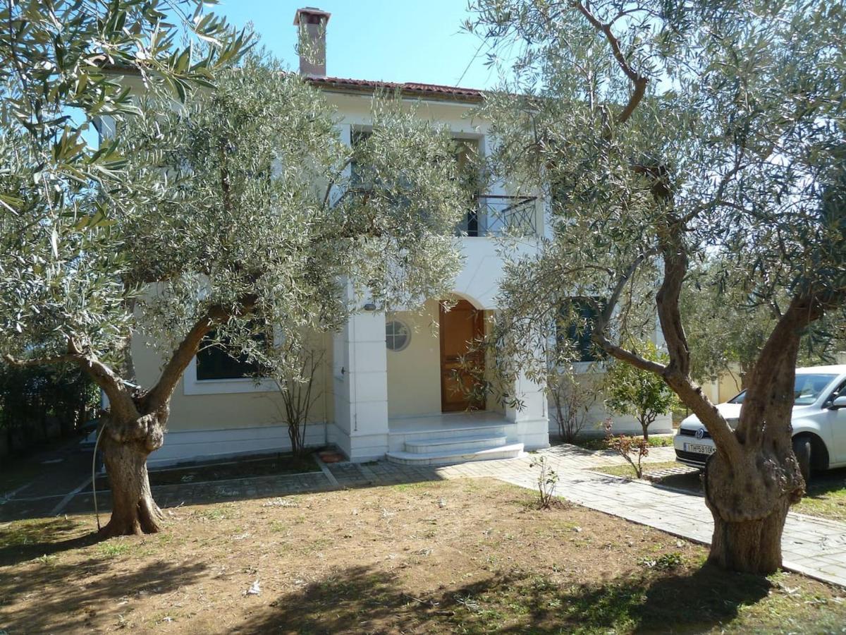 Villa Liana Sourpi エクステリア 写真